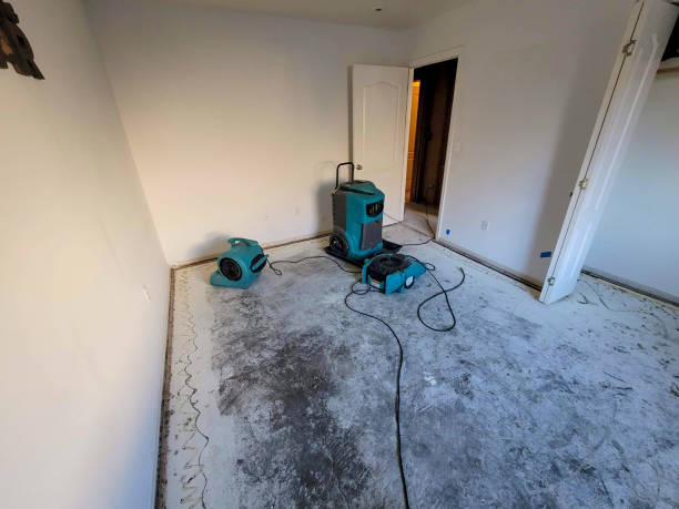 Best Flooded house restoration  in Palm Springs, CA