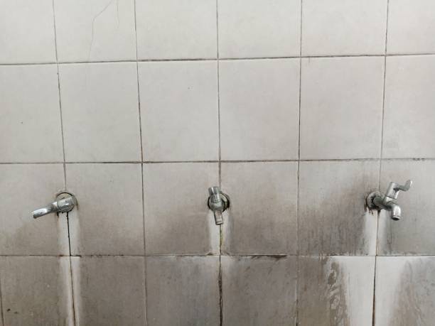 Best Water damage contractors near me  in Palm Springs, CA