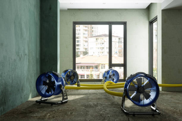Best Residential water damage restoration  in Palm Springs, CA